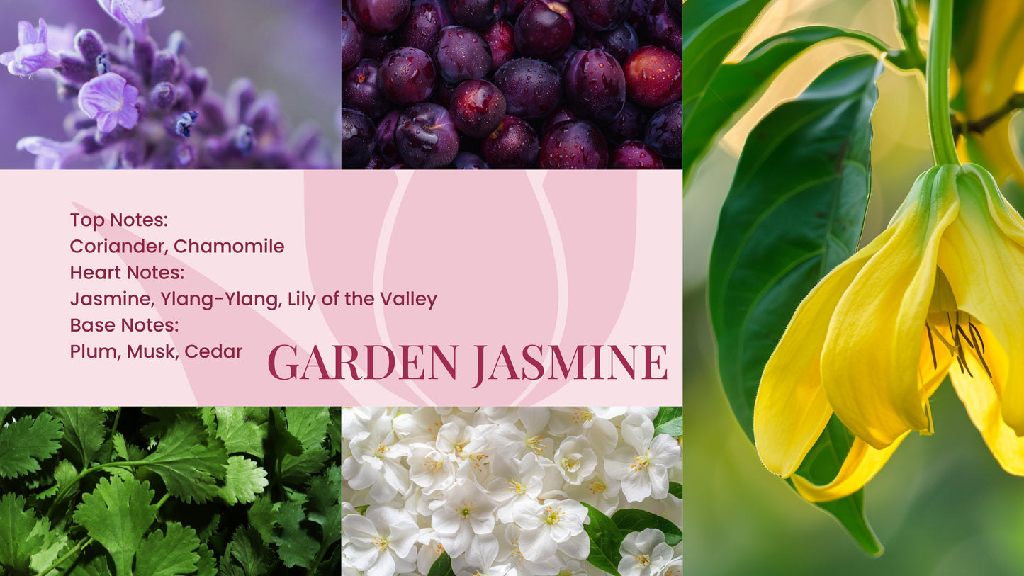 Garden Jasmine 120ml